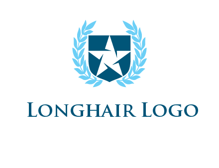 star in shield logo