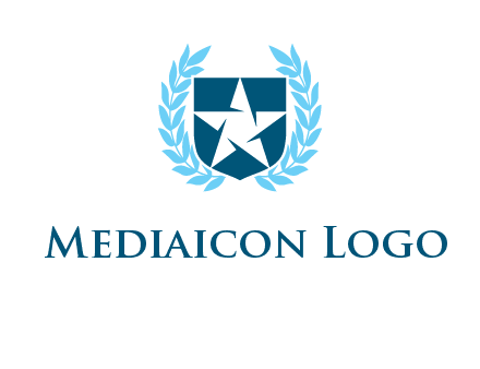 star in shield logo