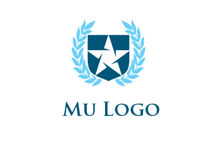 star in shield logo