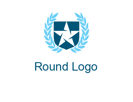 star in shield logo