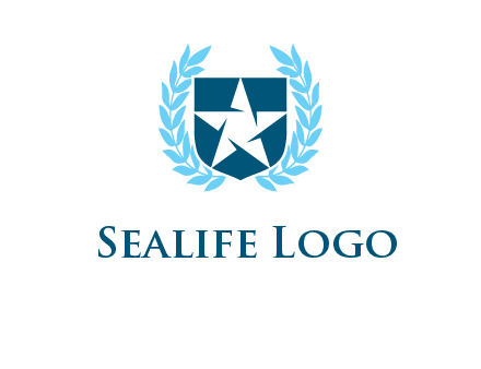 star in shield logo