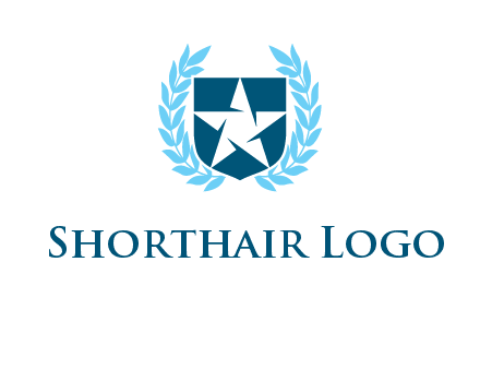 star in shield logo