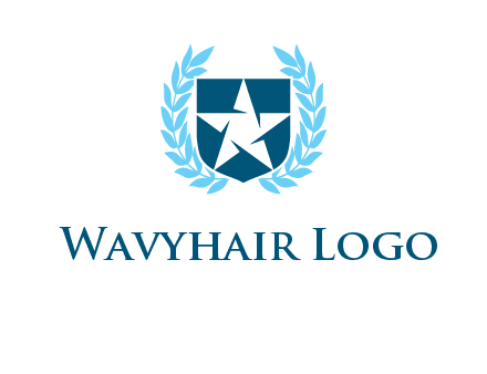 star in shield logo