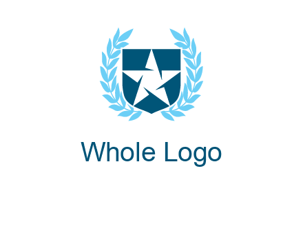 star in shield logo