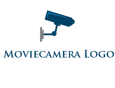 CCTV camera logo