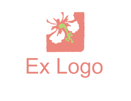 flower in square logo