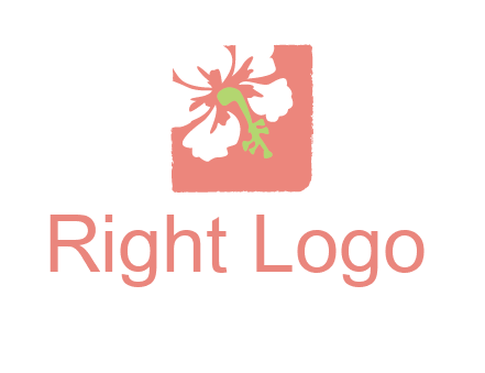 flower in square logo