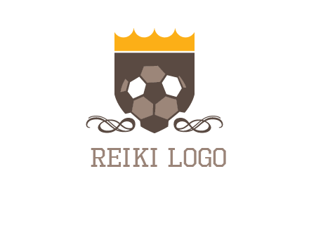 education football logo