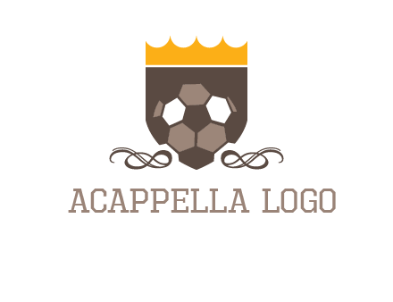education football logo