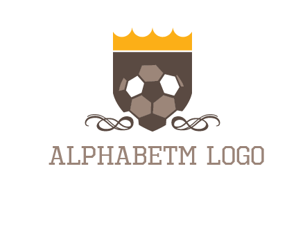 education football logo
