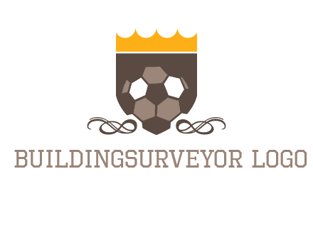 education football logo