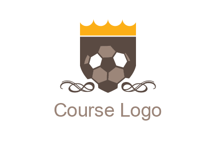 education football logo