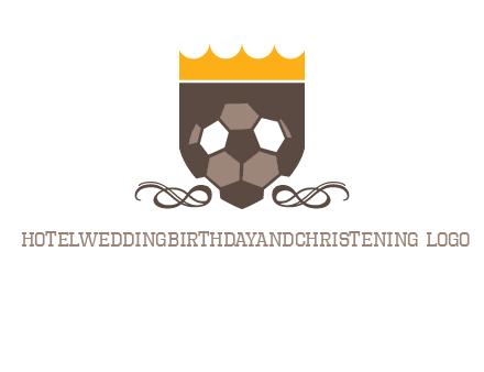 education football logo