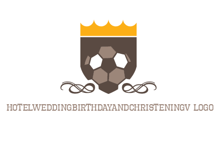 education football logo