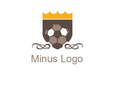 education football logo