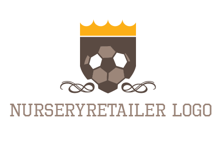 education football logo