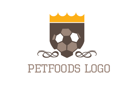 education football logo
