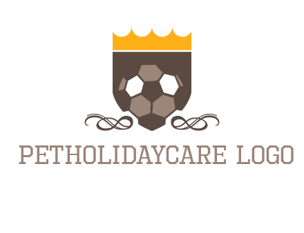 education football logo