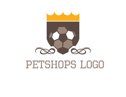 education football logo