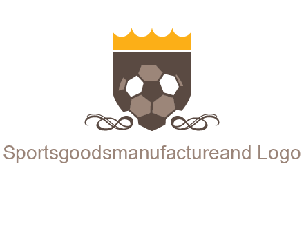 education football logo
