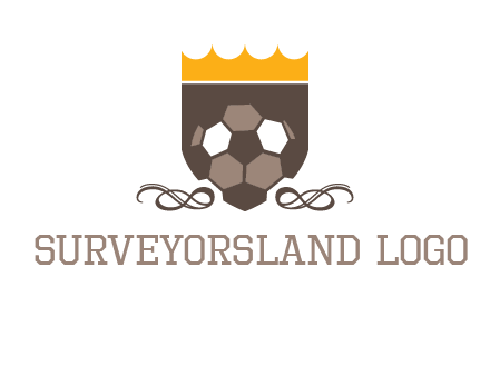education football logo