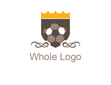 education football logo