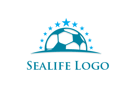stars in football logo