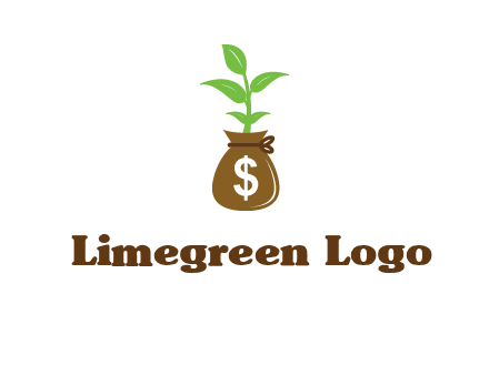 money bag with plant