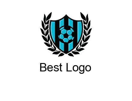 shield in football team logo