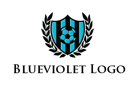 shield in football team logo