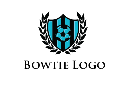 shield in football team logo