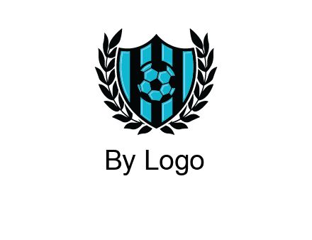 shield in football team logo