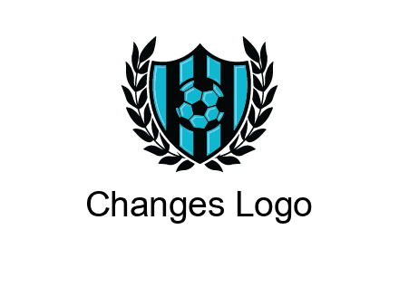 shield in football team logo
