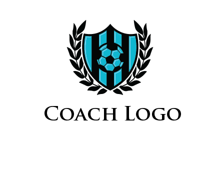 shield in football team logo
