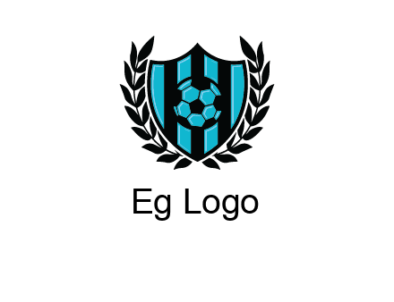shield in football team logo