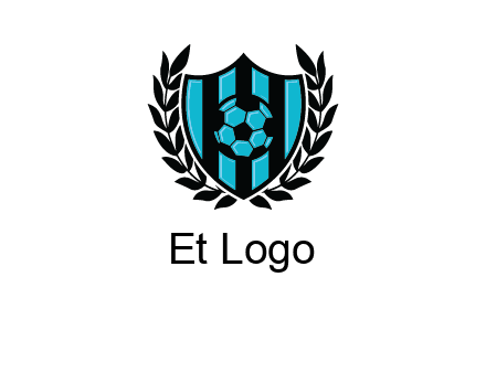 shield in football team logo