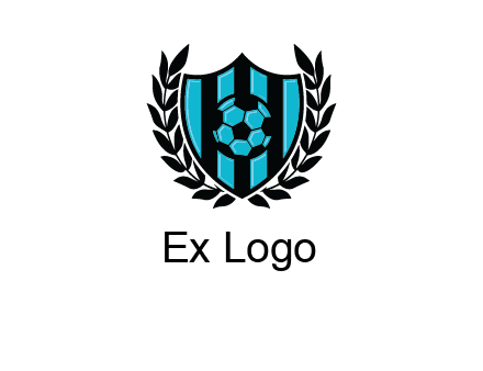 shield in football team logo
