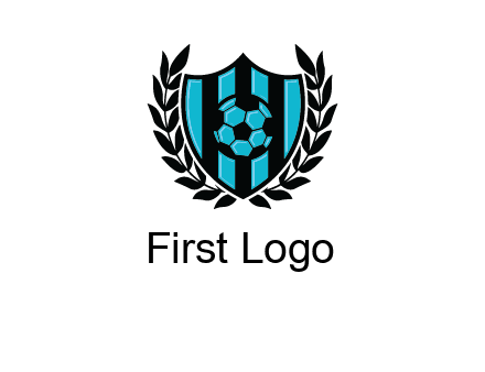 shield in football team logo