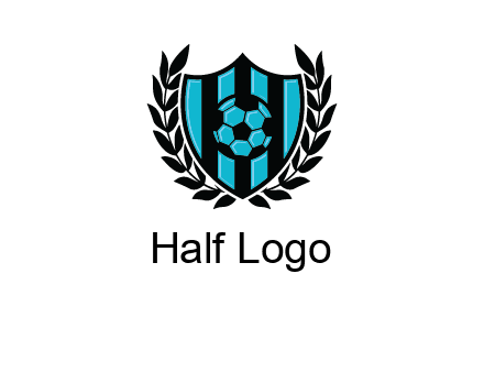 shield in football team logo