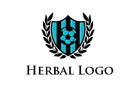 shield in football team logo