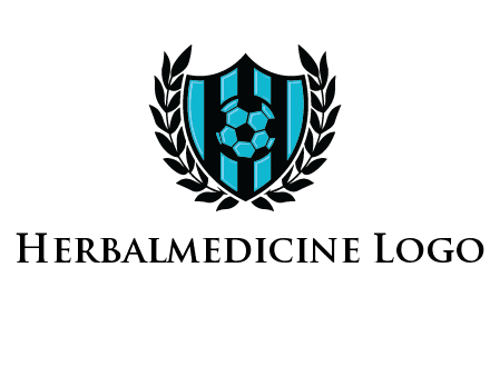 shield in football team logo
