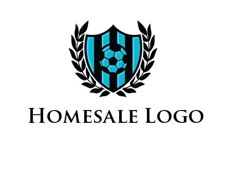 shield in football team logo