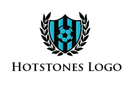 shield in football team logo
