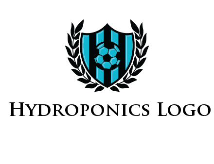 shield in football team logo