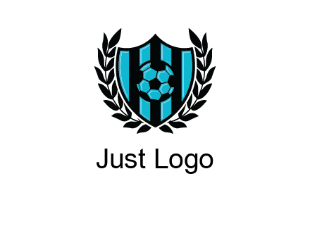 shield in football team logo