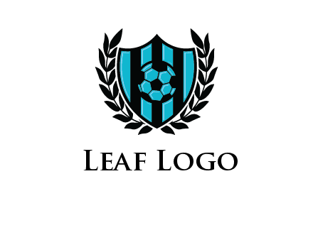 shield in football team logo