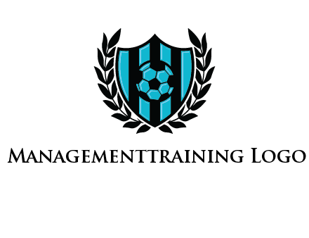 shield in football team logo