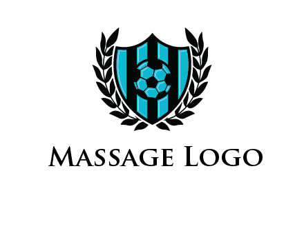 shield in football team logo