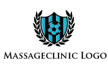 shield in football team logo