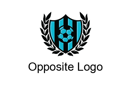 shield in football team logo